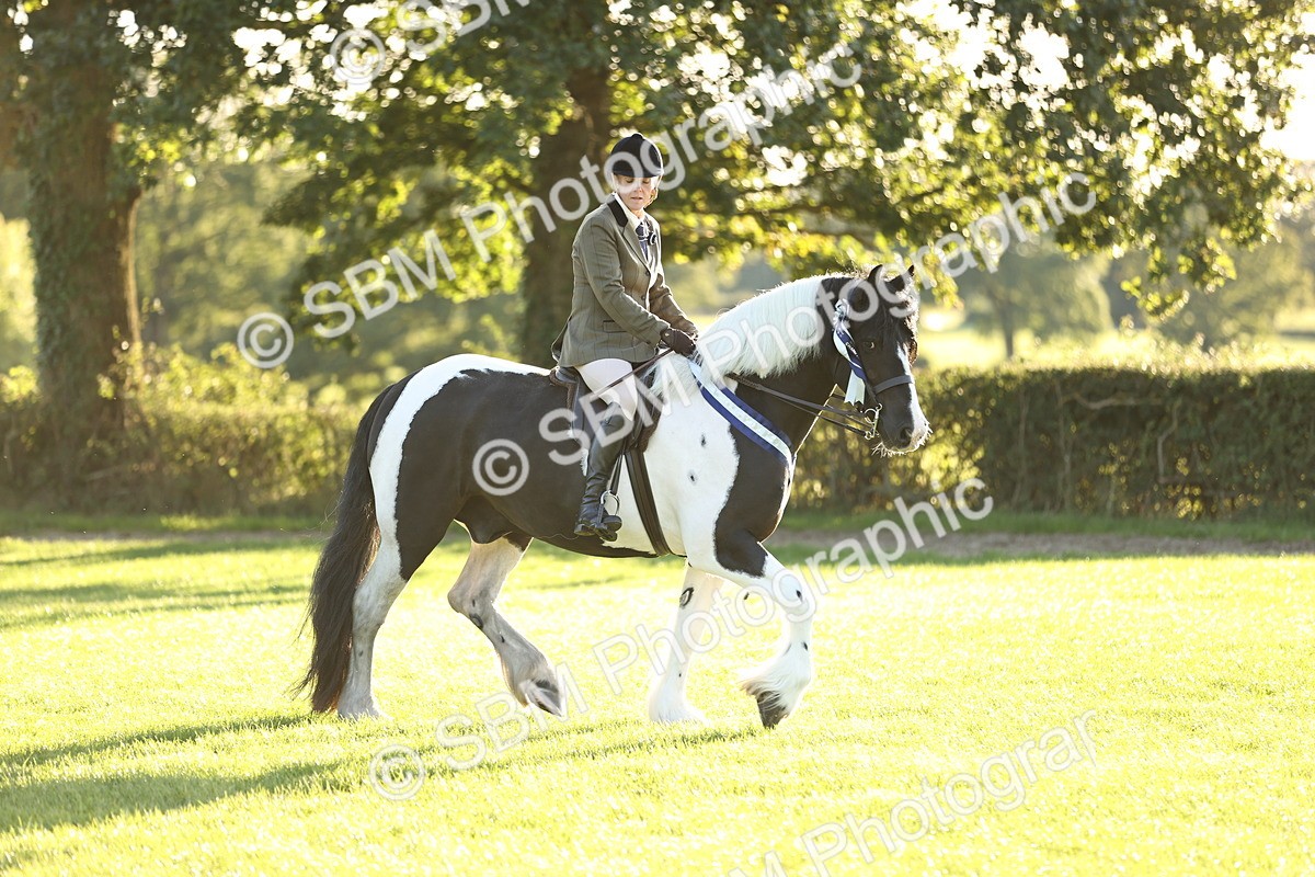 SBM_30158 - Novice & Newcomers Supreme Championship
