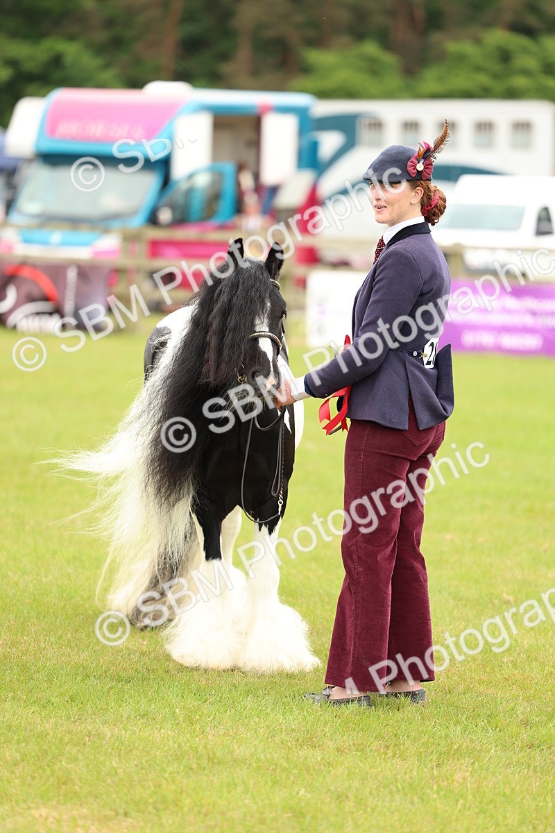 SBM_06342 - Class 39-41 TGCA In Hand and Ridden