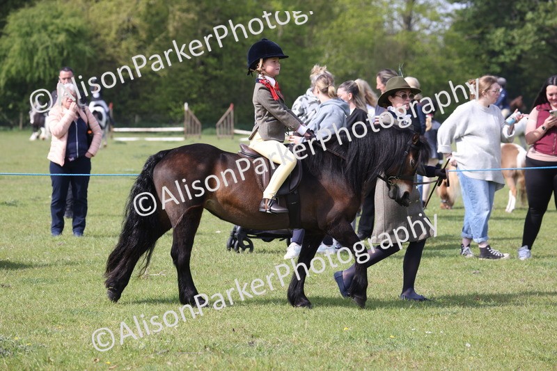 20260426-0581 - Class 31 - Leading Rein