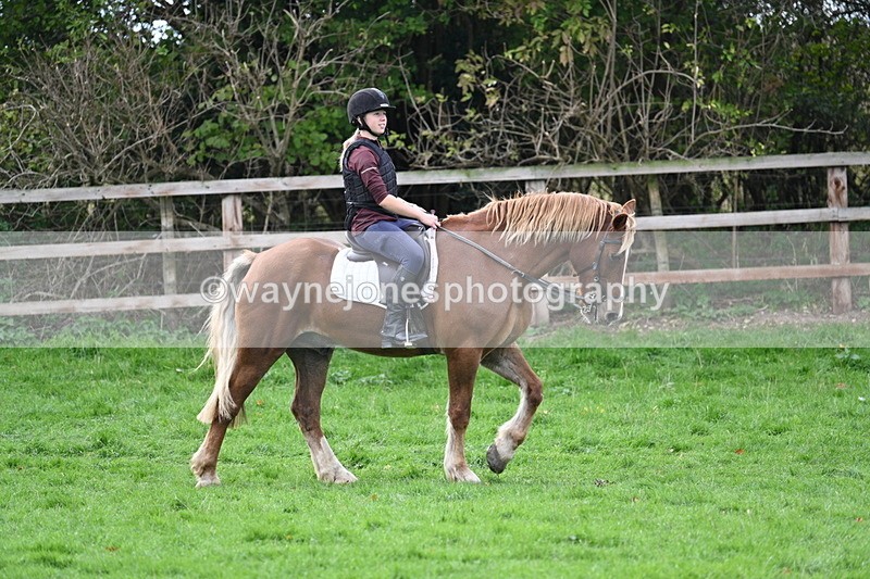 WJ7_9564 - Time 12:55 to 13:13