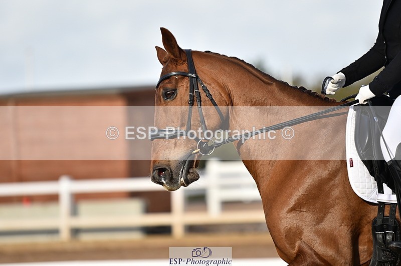 231104A-120546-01675 - Cls 5 Novice 37A