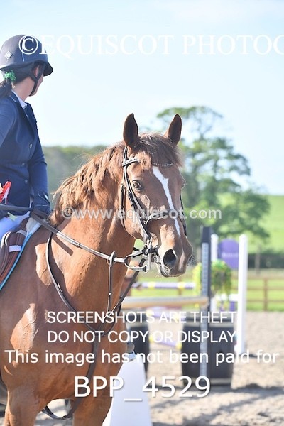 BPP_4529 - CLASS 9 Senior Newcomers/ 1.10m Open