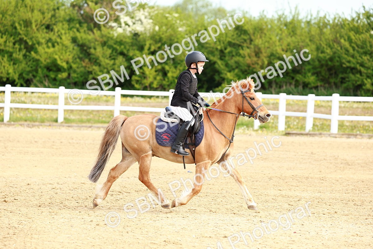 SBM_006612 - Class 1 - 40cm