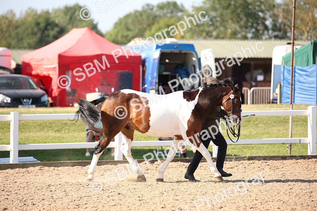 SBM_01469 - Class 15 IH Coloured