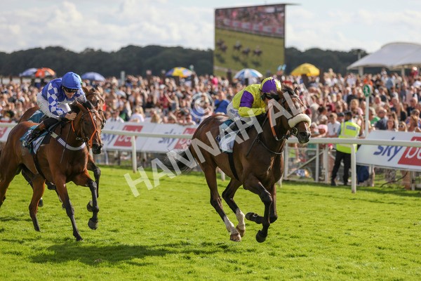 290723-Race 6-Dark Moon Rising-4038 - Race 6 5.10pm Betting Better With Sky Bet Handicap