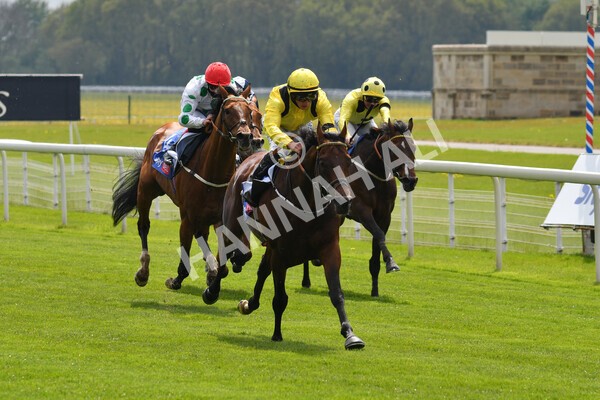 yr12052021r1-35 - Race 1 1.40pm Sky Bet Race to the Ebor Jorvik Stakes
