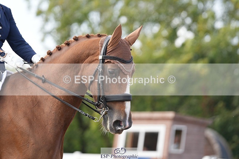 250907-160913-09772 - 126-Clair.ReedCatherston.Specific
