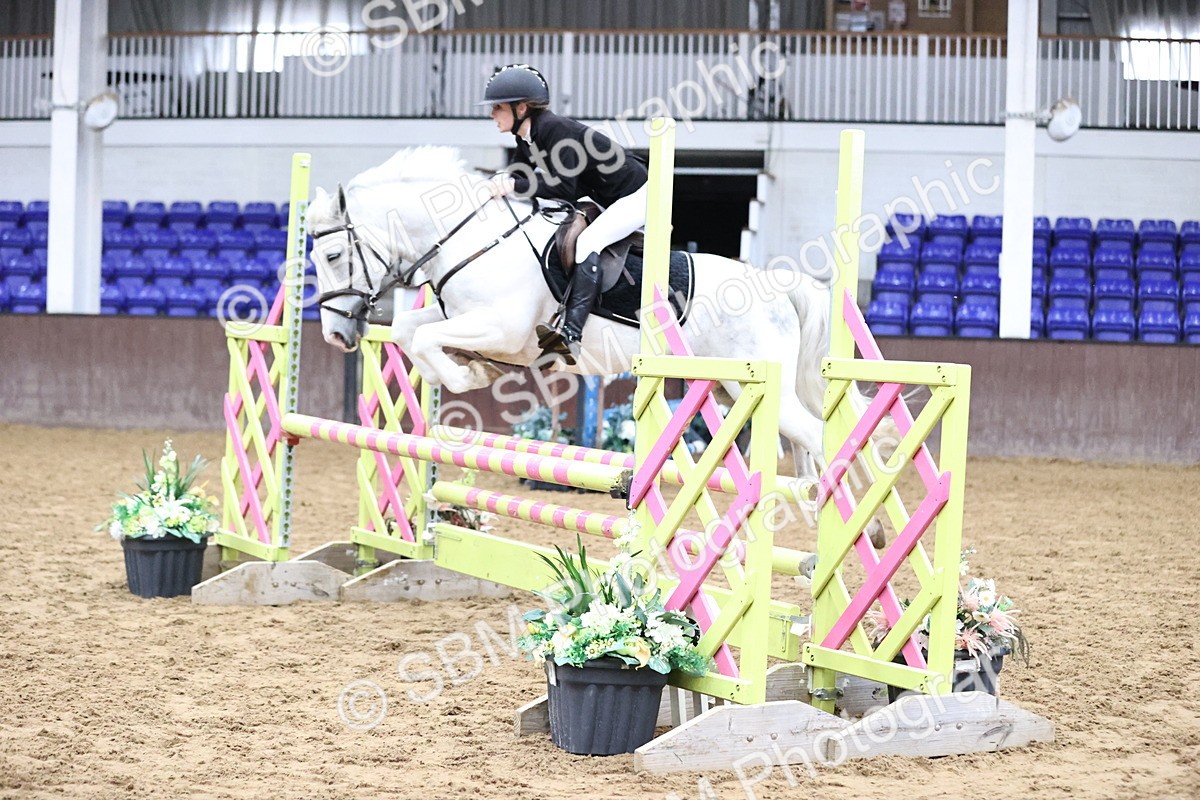 SBM_000274 - Class 2 - Pony British Novice - 80cm Open