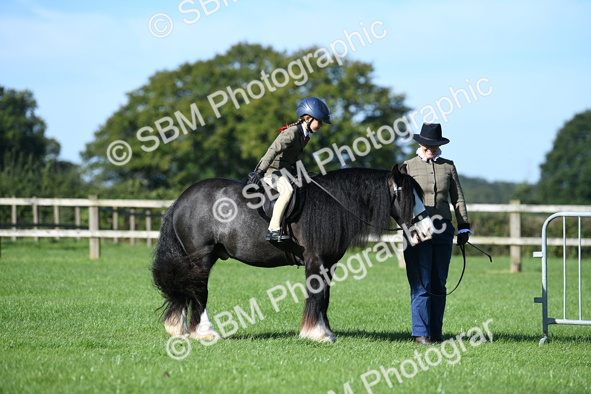 SBM_36727 - S18 - Novice & Newcomers Lead Rein Pony