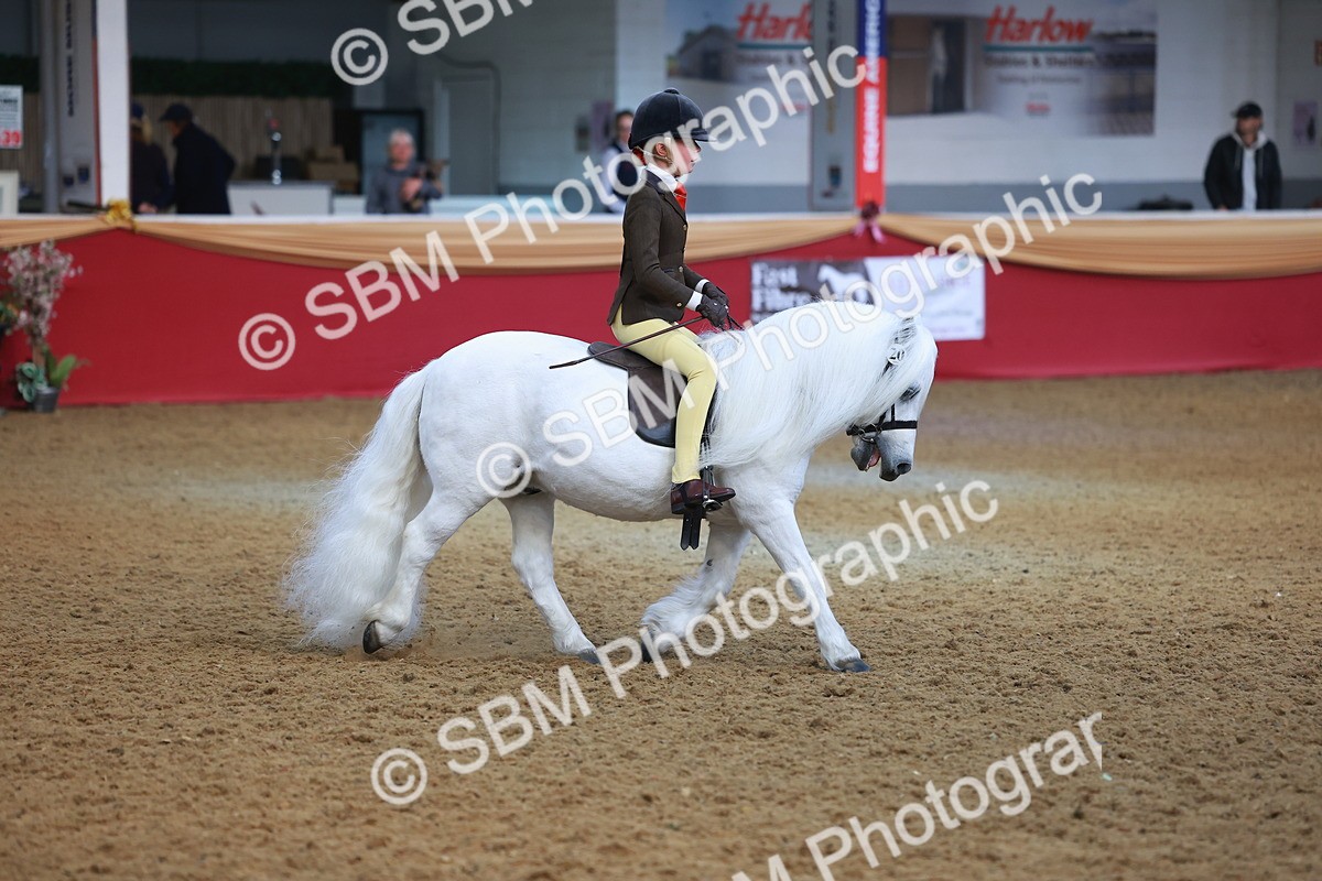 SBM_09452 - Class 102 - HOYS Veteran Qualifier - Ridden Veteran