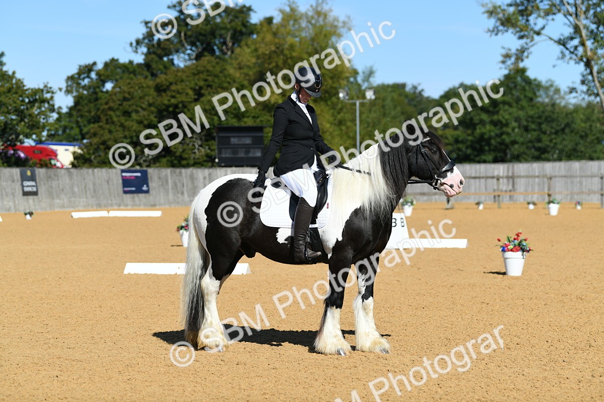 SBM_18233 - D4 - Small Tour Championship - Intro B
