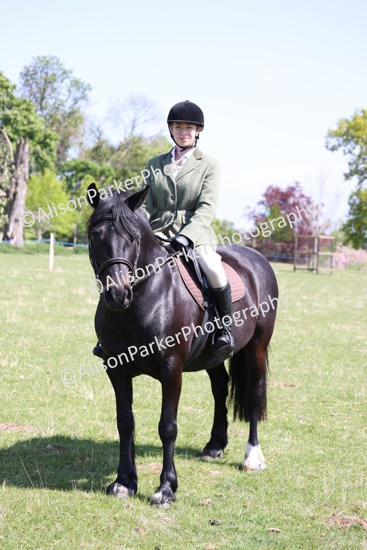 20250427-3248 - Class 33 - Best Pony 14.2hh and Under