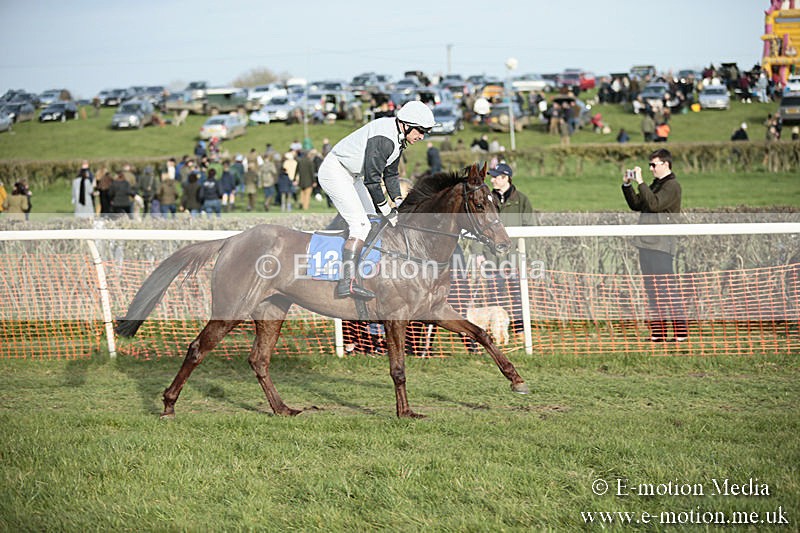 PtP 230319 524 - VWH Hunt Siddington Point-to-Point Racing 23/03/19