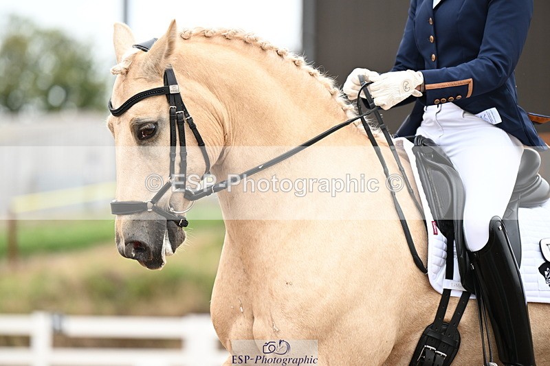 240815A-130213-01404 - 165-Louisa.Julie.Brend-Cynheidrefawr.gerwyn