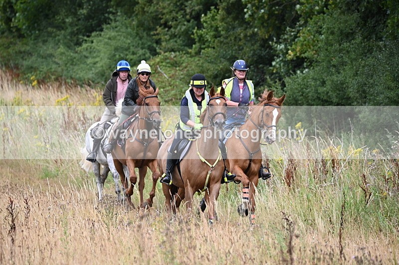 WJ6_2319 - Group 7