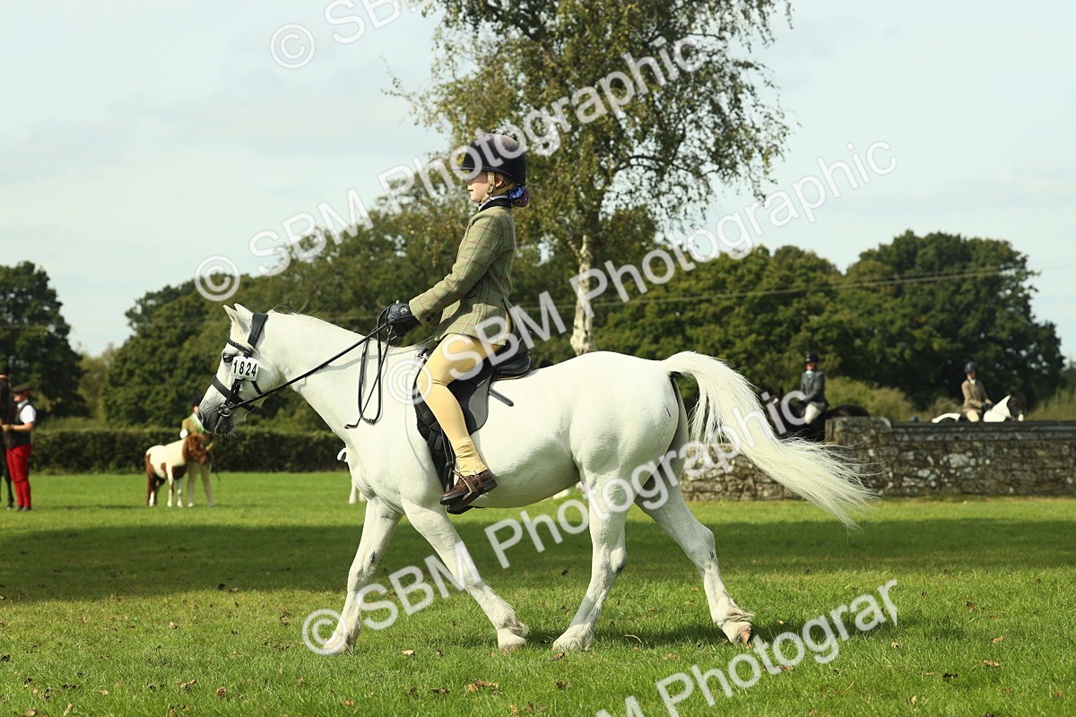 SBM_66494 - S34 - Rehabilitated Rescue Horse & Pony In Hand & Ridden