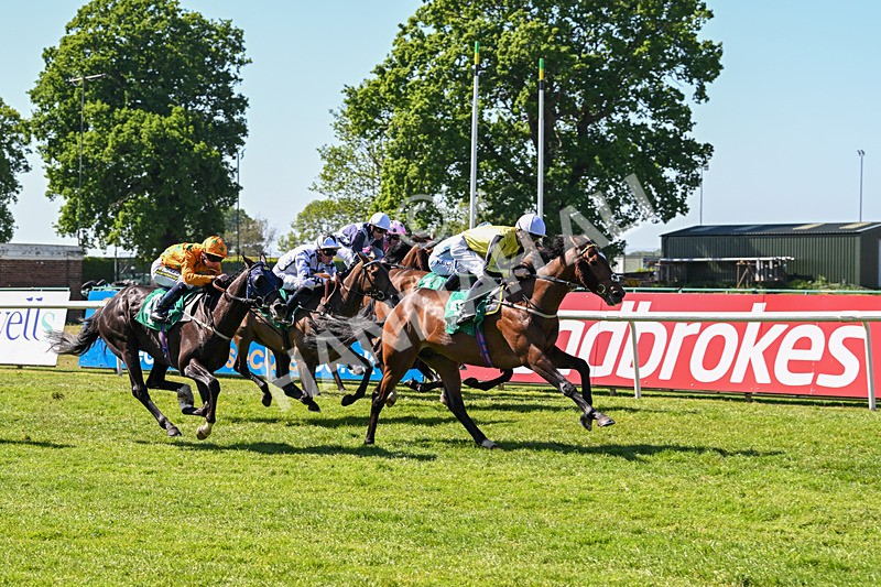 170525-Race 4-Hallelujah U-8323 - Race 4