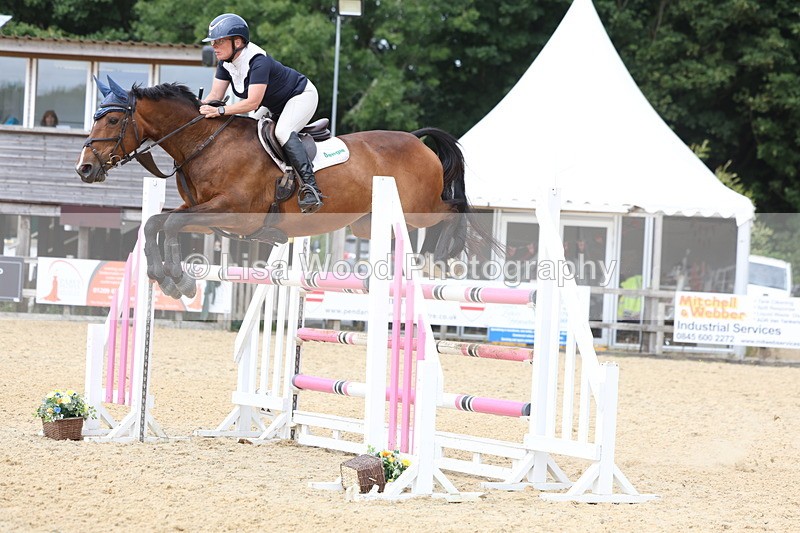 3E7A6551 - Class 9: Senior Foxhunter/1.20 open