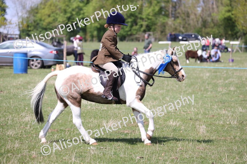 20250427-3314 - Class 33 - Best Pony 14.2hh and Under