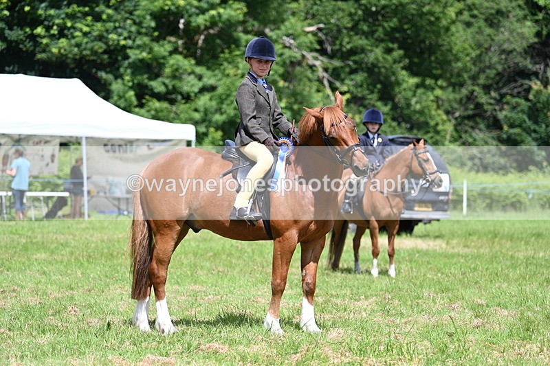 WJ7_1790 - Class 9 Pony Club Pony