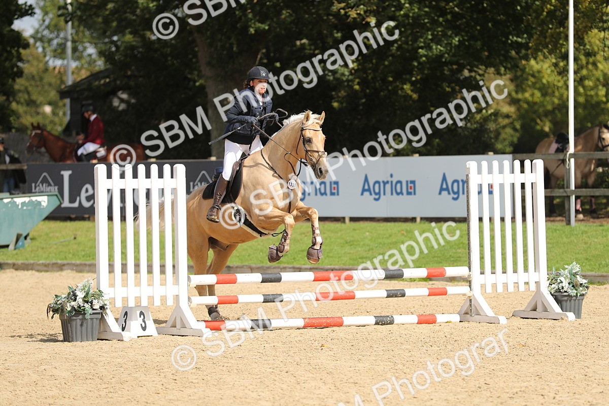 SBM_05734 - J35 - Veteran Rider 60cm