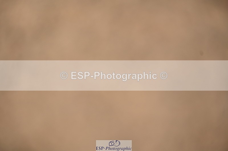 240323A-144504-02311 - UnA Prelim 14