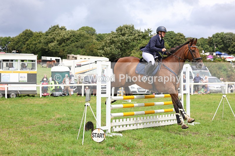 3E7A7331 - Class 5: Senior British Novice/90cm open