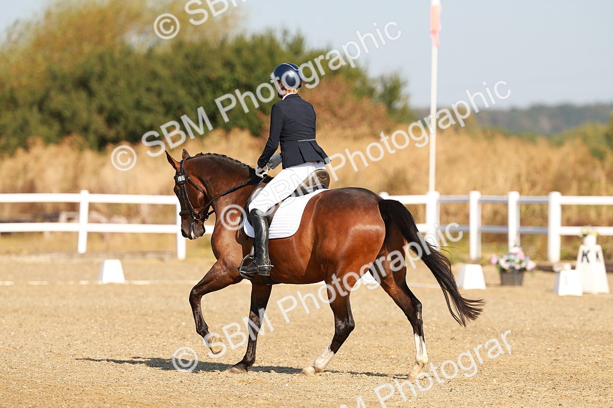 SBM_016536
