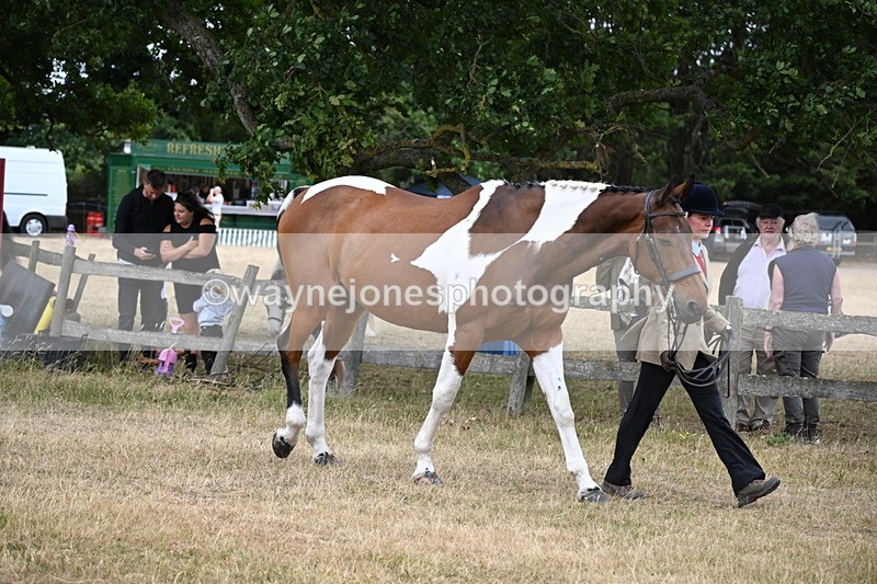 WJ6_8140 - Class 10 Coloured in Hand