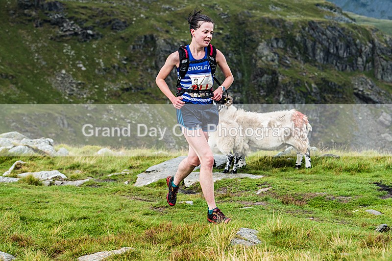 Kentmere-477 - Pete Bland Kentmere Horseshoe Fell Race Sunday 16th July 2023