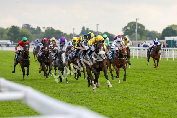 150524-Race 7-Dancing In Paris-1643 - Race 7 5.20pm Stuey Weston & Friends Getting Out Handicap