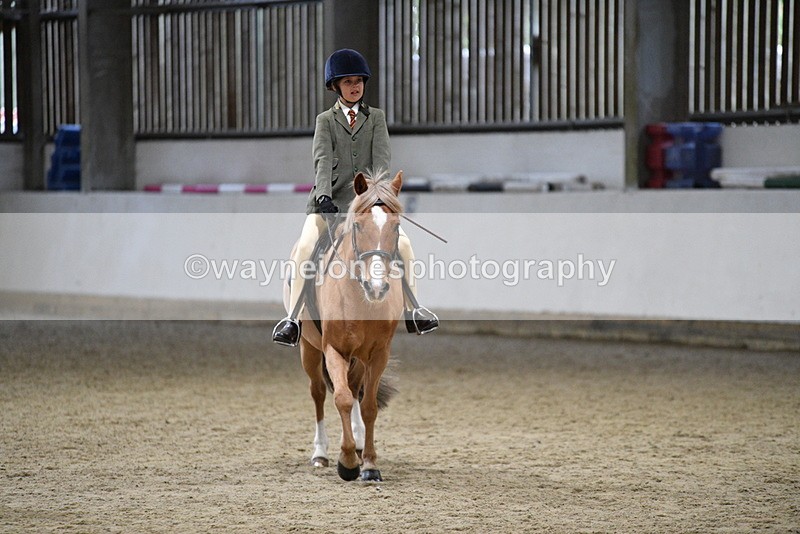 WJ5_8387 - Class 14 Novice Ridden/Rider