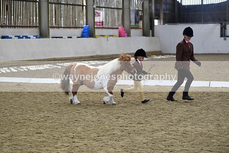 WJ5_4918 - Class 7 In hand coloured / odd coloured