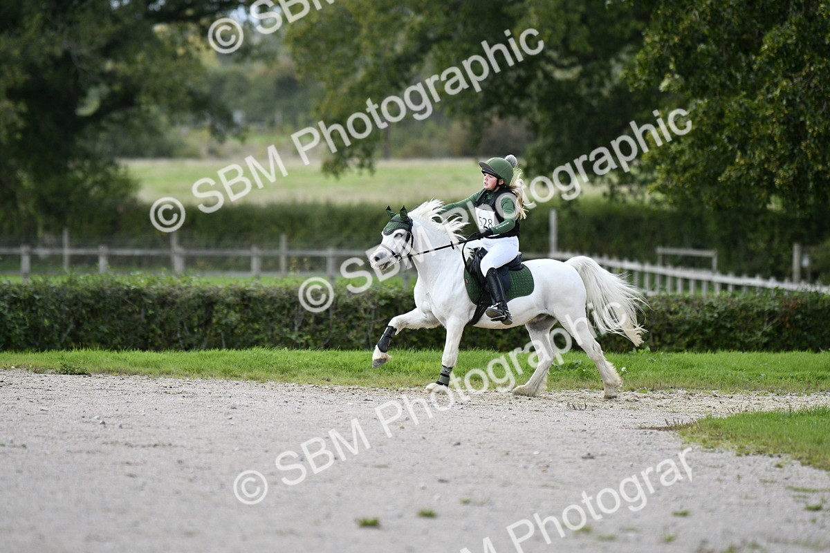 SBM_19290 - E8 - Eventers Challenge 50cm championship