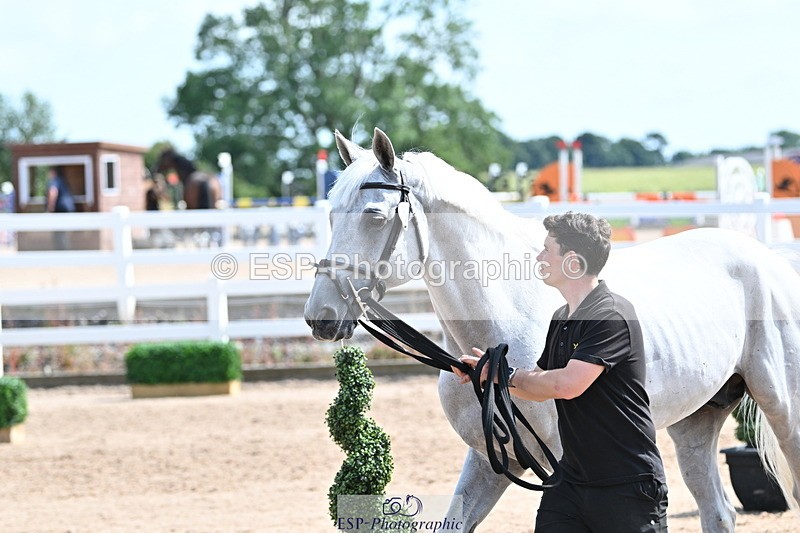 240717A-154005-02965 - Trot Up 3pm to 4pm
