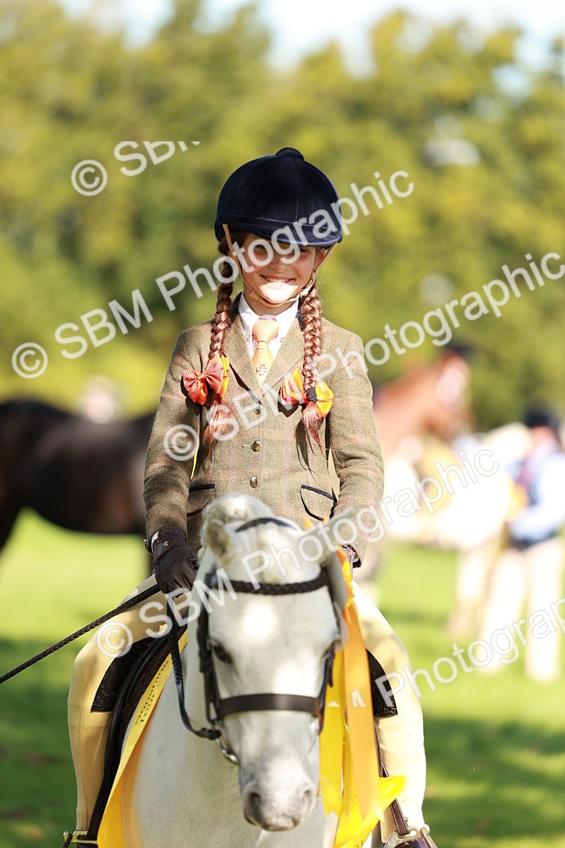SBM_42154 - S32 - Mountain & Moorland Working Hunter Pony