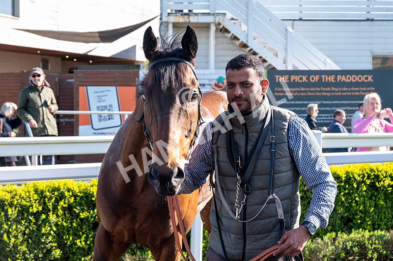 220426-Race 6-Aberama Gold-3194 - Race 6