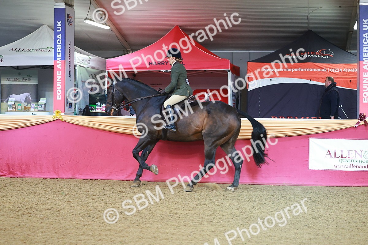 SBM_07637 - Class 101 - HOYS Veteran Qualifier - Ridden Diamond
