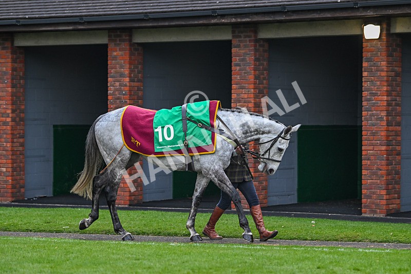 130325-Sine Nomine-WR-1960 - 13th March