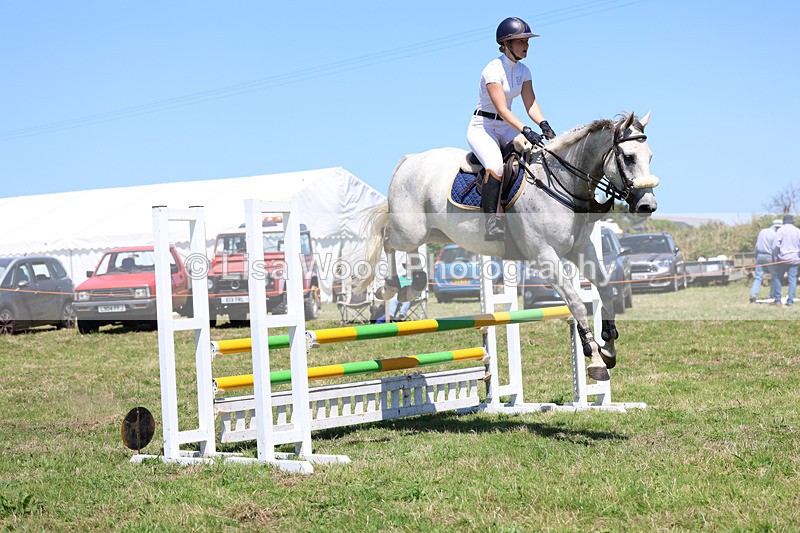 3E7A5577 - Class 9: Senior British Novice/90cm open
