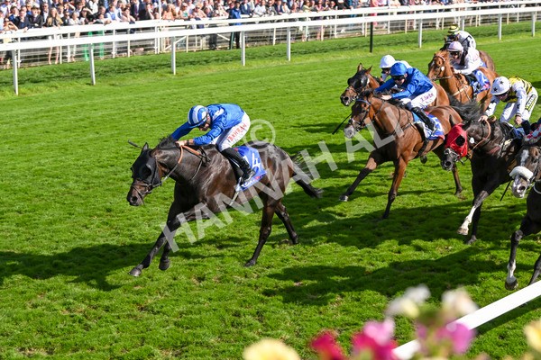 240824-Race 5-Elmonjed-1761 - Race 5 4.10pm Sky Bet Constantine Handicap