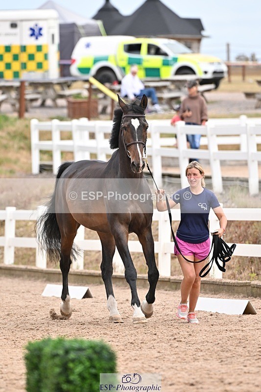 250716-153005-01965 - Trot Up 3.30 to 4.30