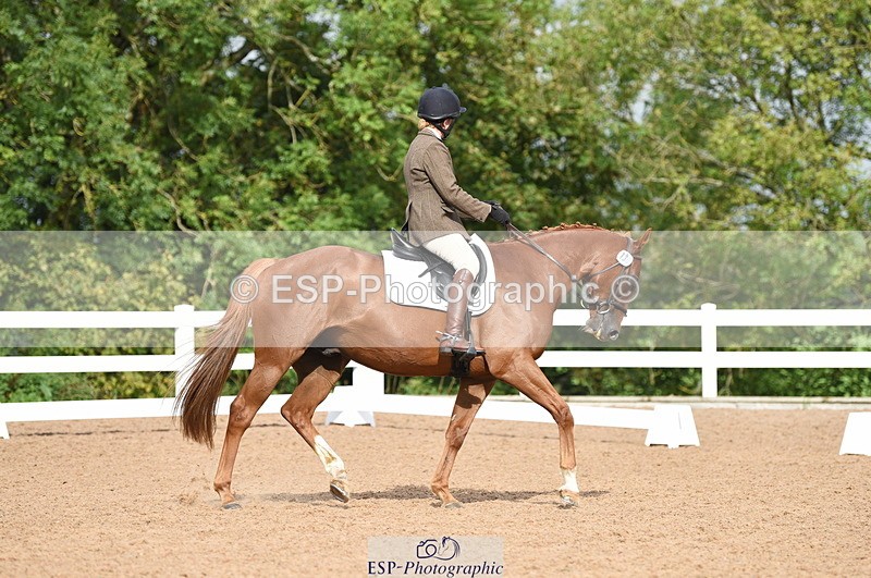 230912A-104202-00406 - Cls 5 Novice 39