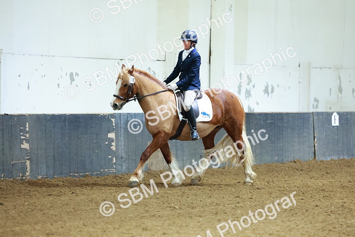 SBM_003631 - Novice 2