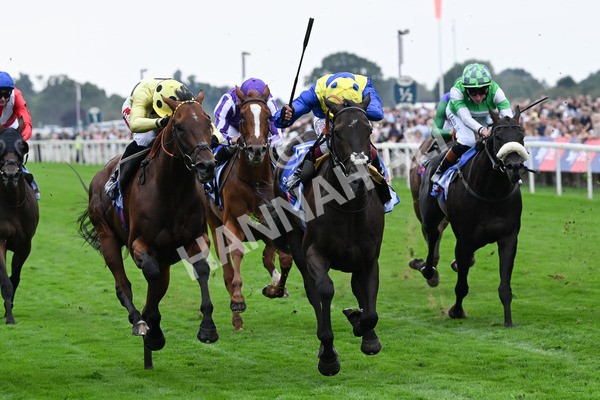 230825-076 Never So Brave - Race 3 3.00pm Sky Bet City Of York Stakes