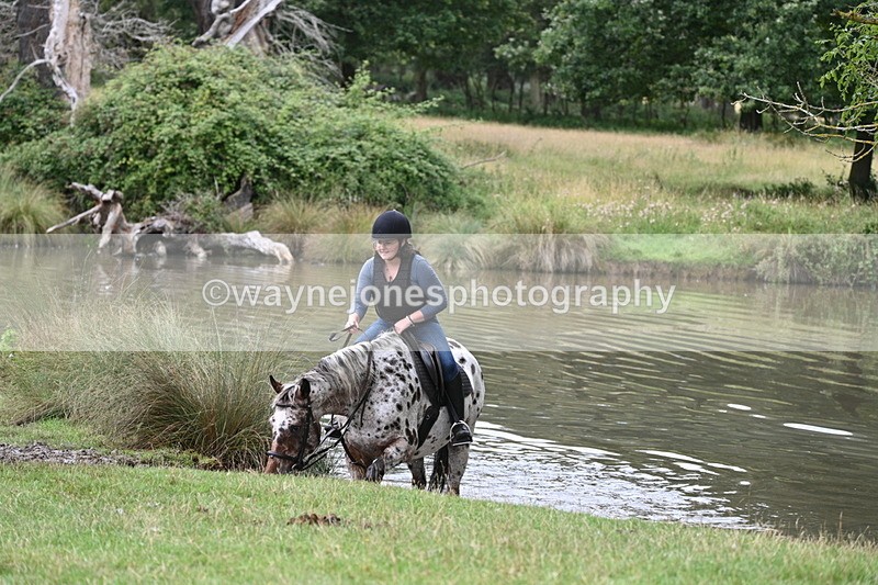 WJ7_3418 - Time at Water 12:15 to 12:50