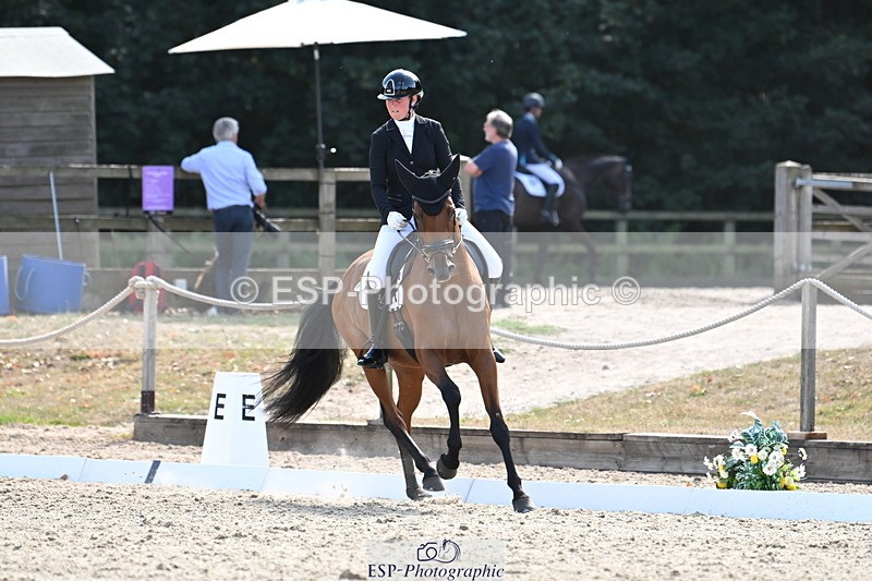 250808A-155732-01963 - 001-Ellen.GloverAmazing.Lady.Texel.MFS