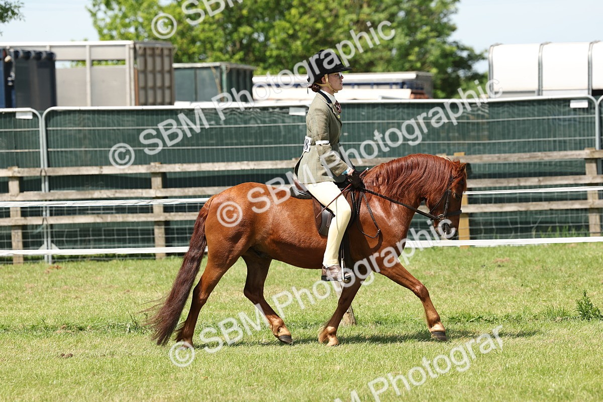 SBM_06812 - Class 26-30 - Mountain and Moorland Ridden