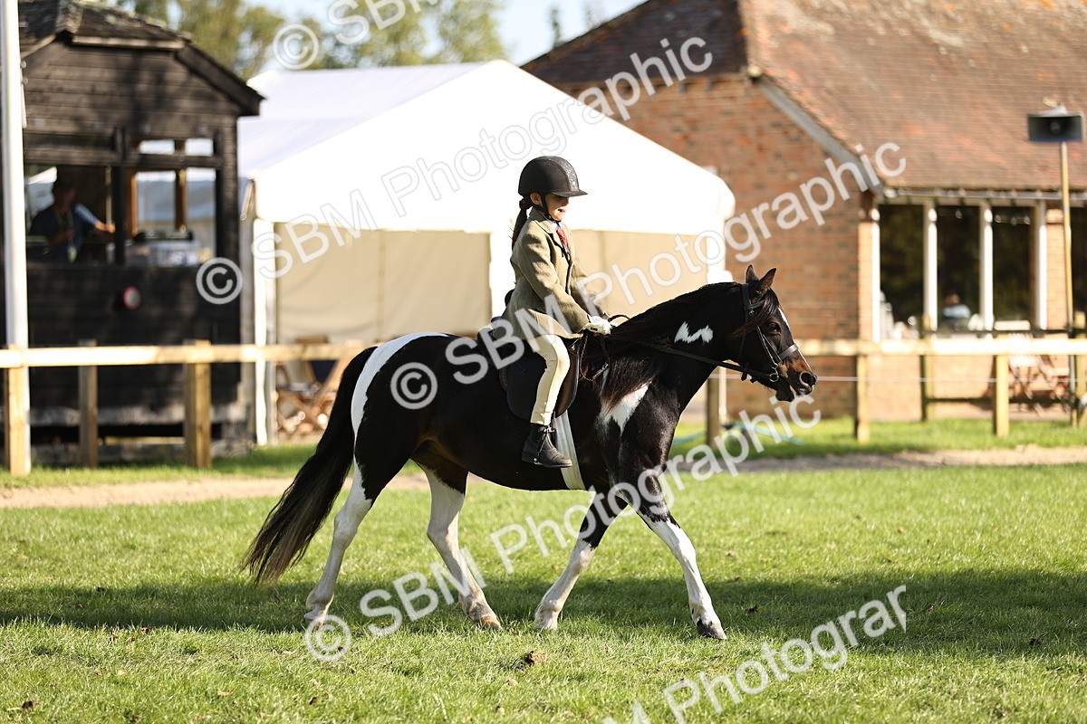 SBM_29329 - S7 - Novice & Newcomers Ridden Pony