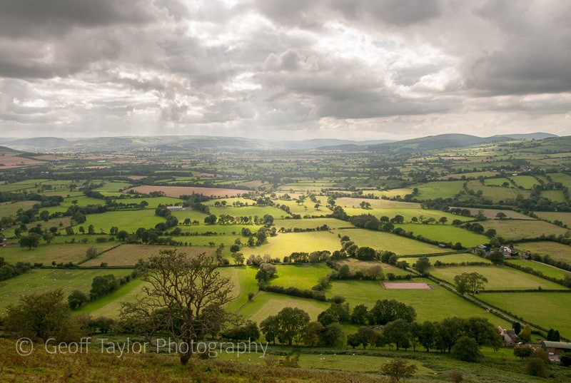 Asterton Prolley Moor from Long Mynd - The Long Mynd